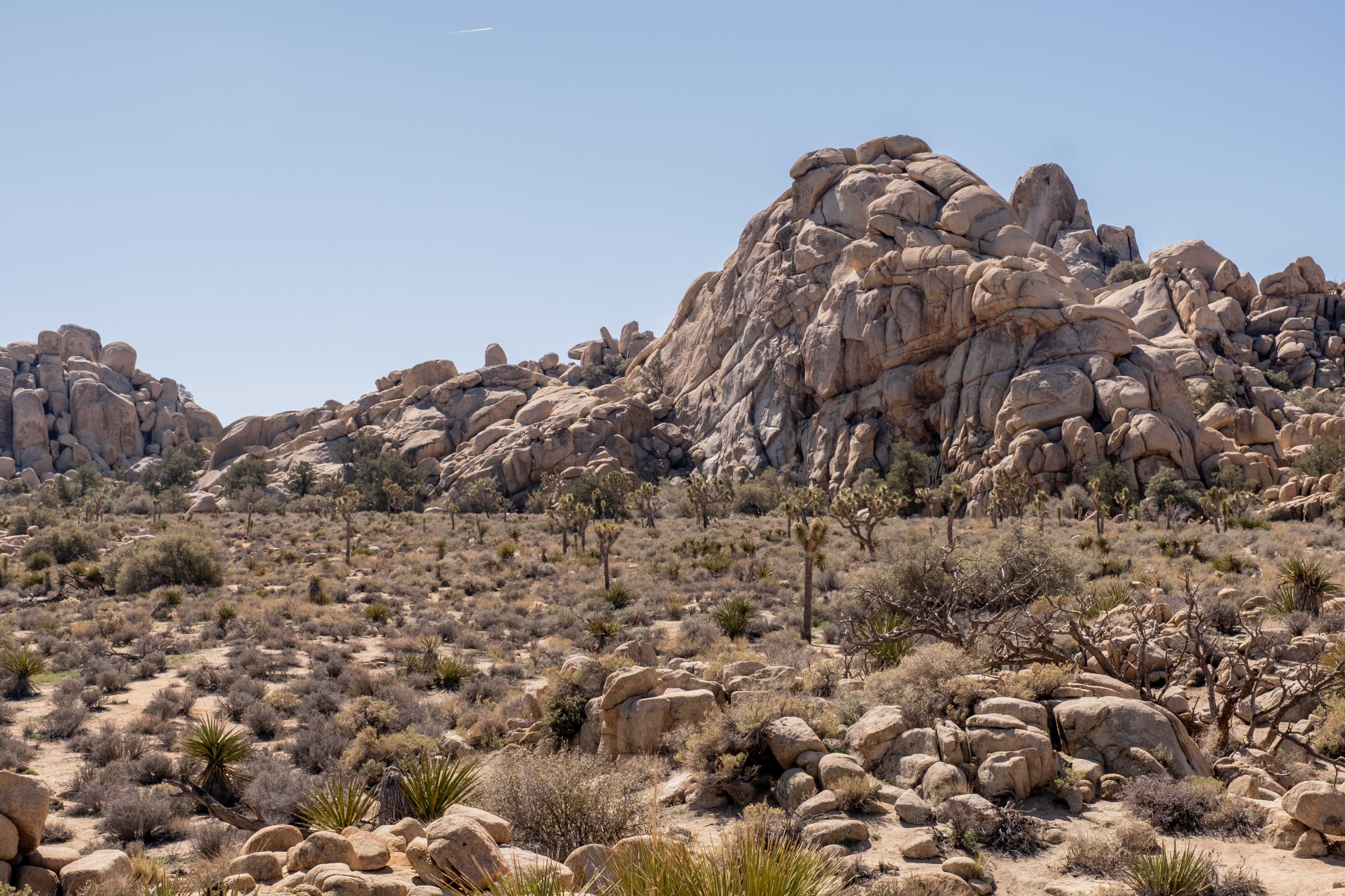 American Southwest image 4