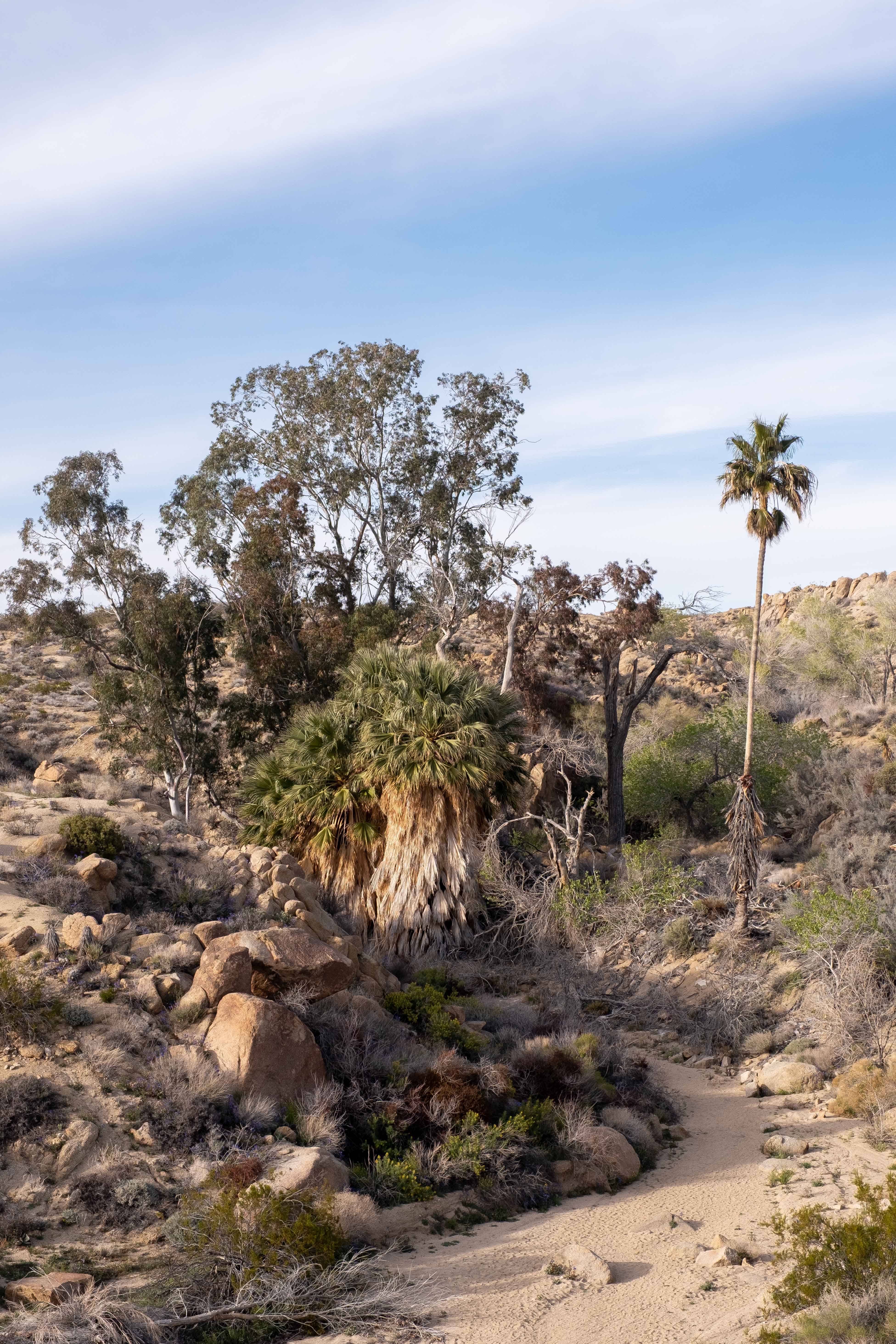 American Southwest image 5