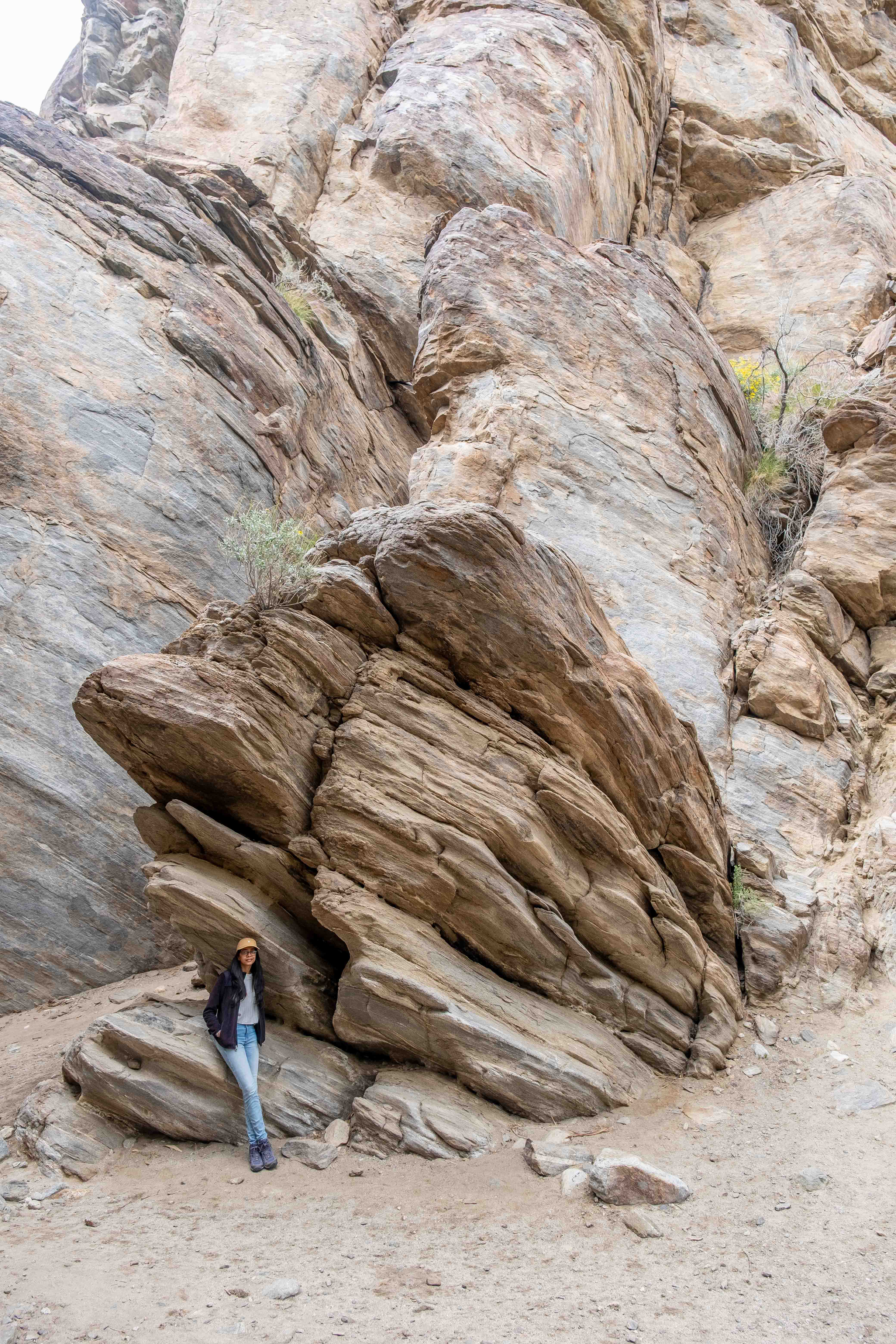 American Southwest image 8