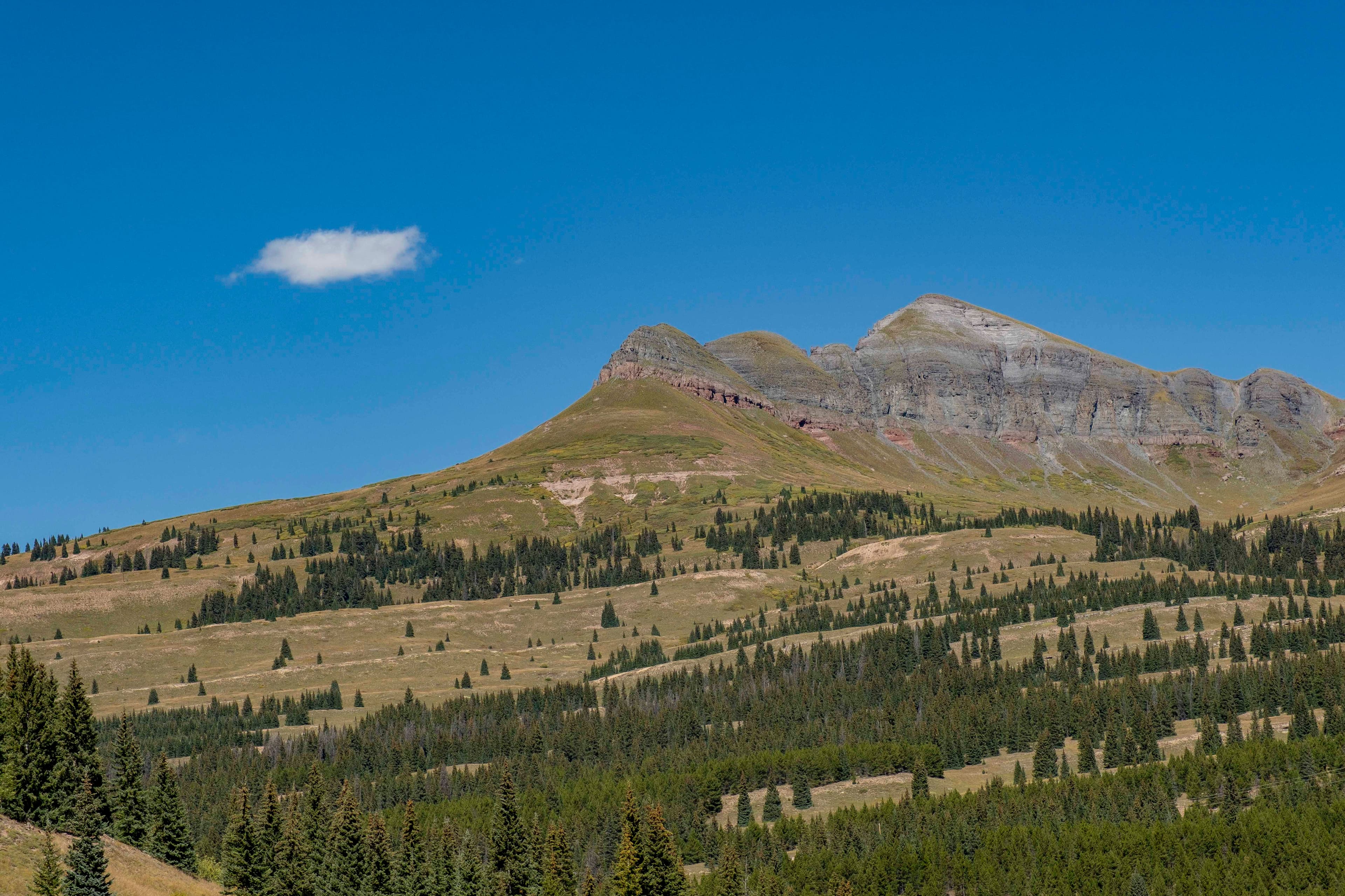 American Southwest image 18