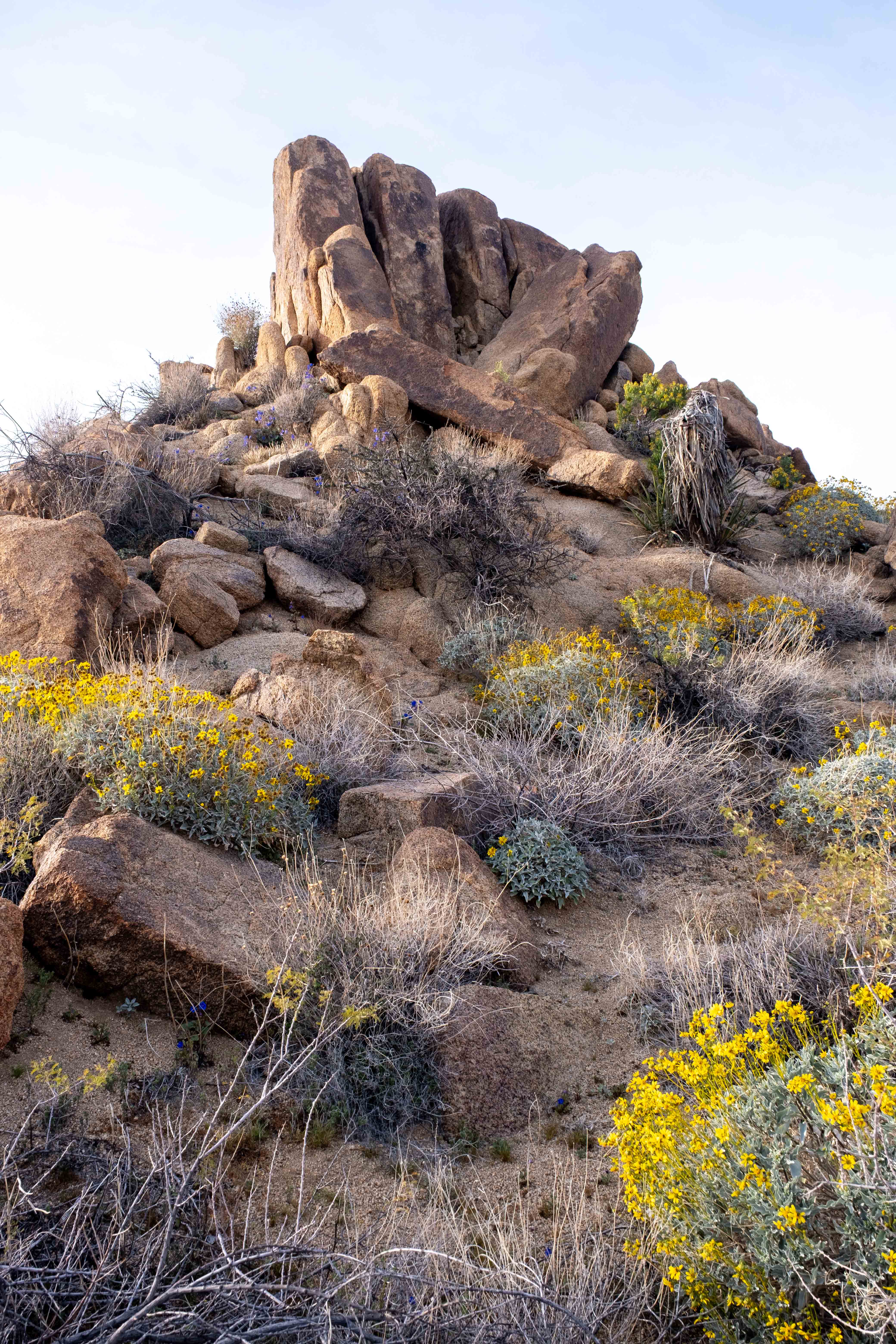 American Southwest image 19