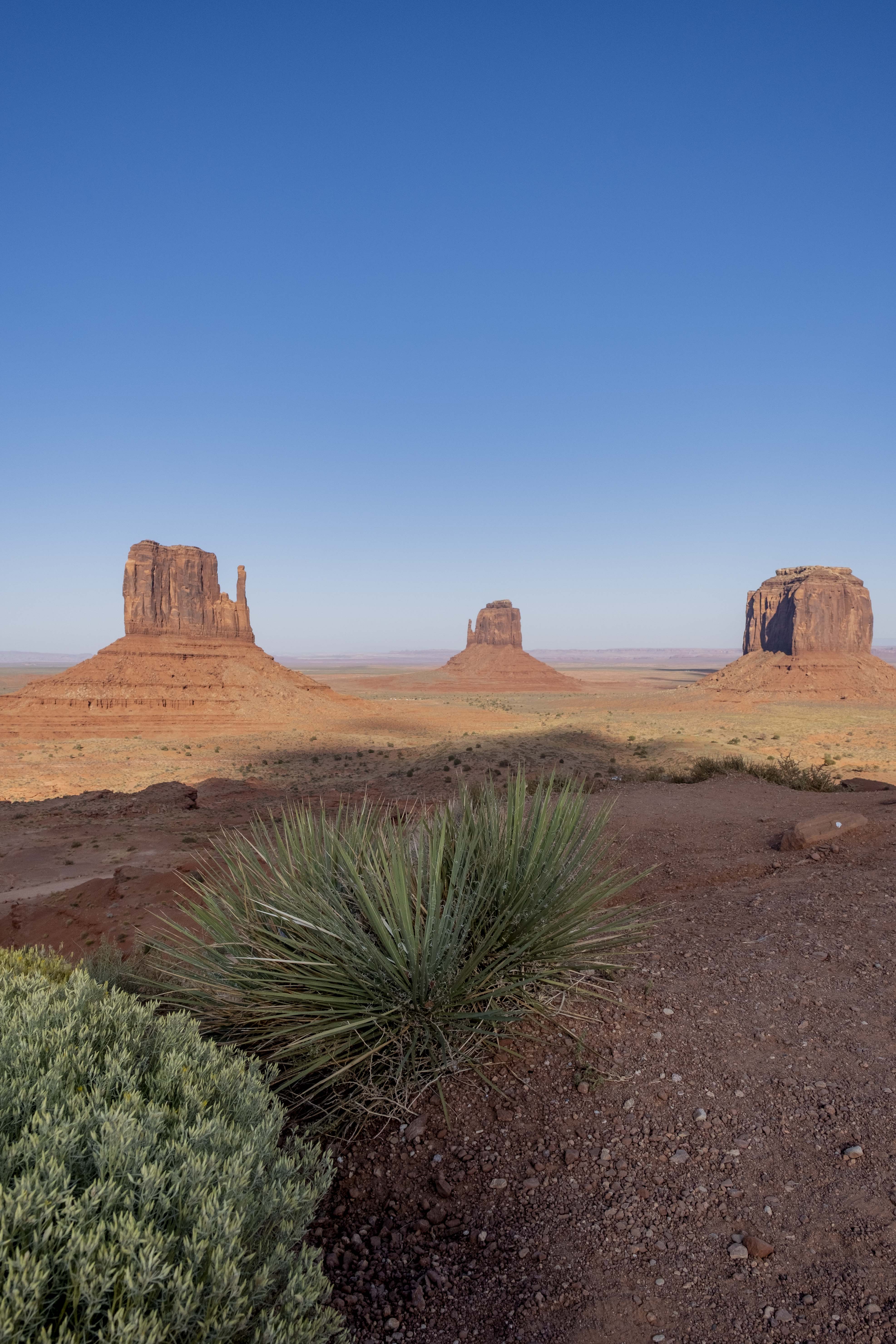 American Southwest image 23