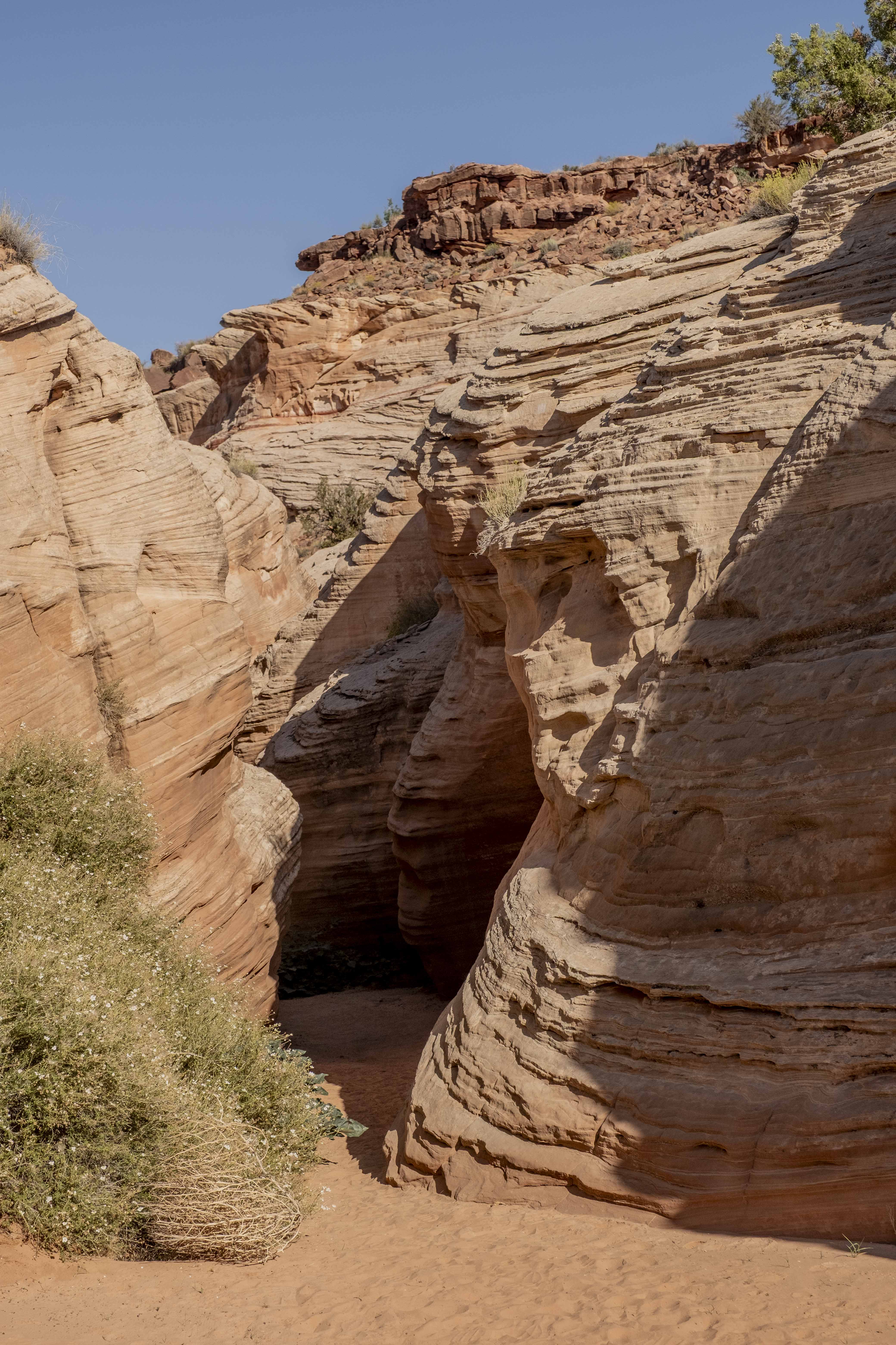 American Southwest image 22