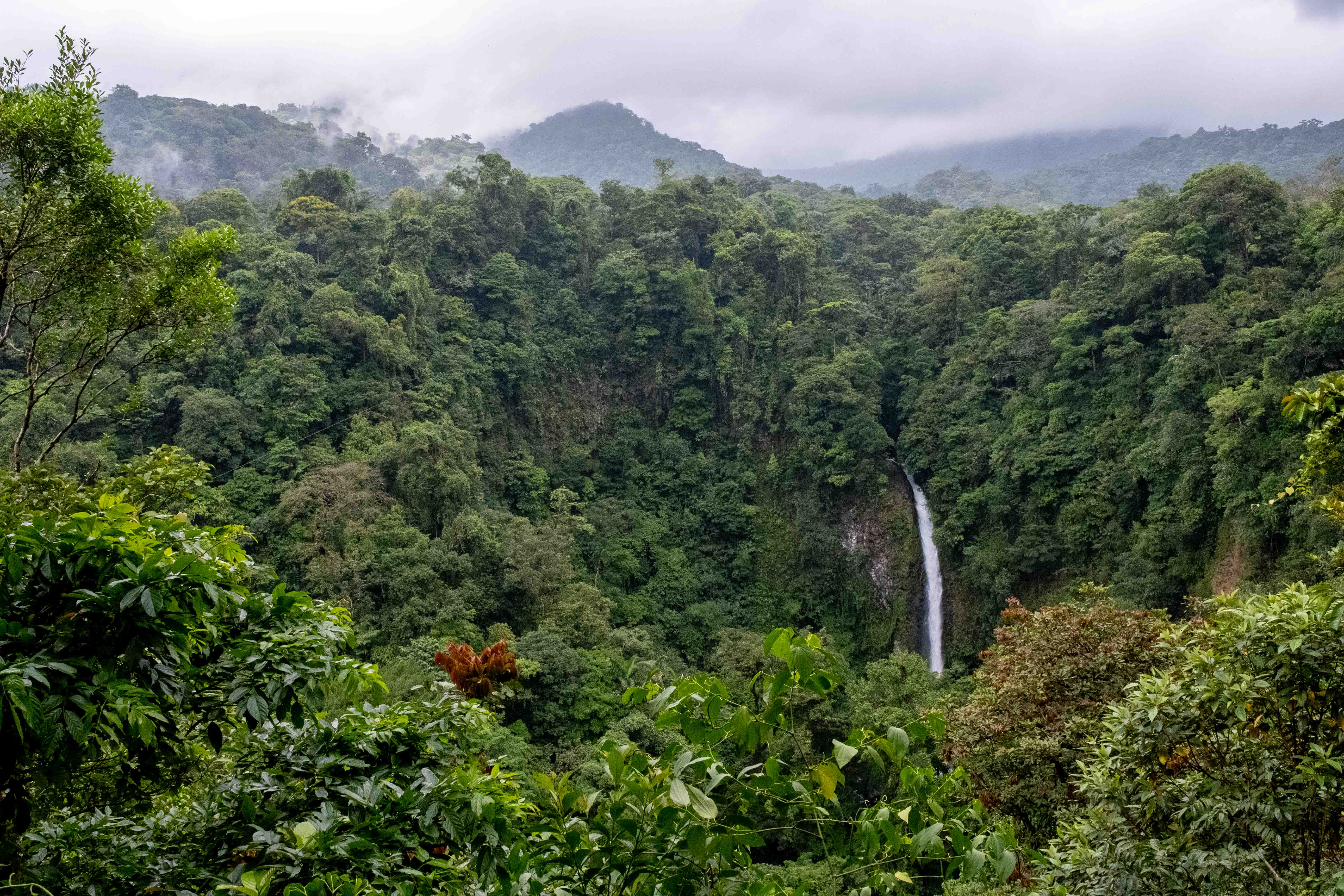 Costa Rica image 4