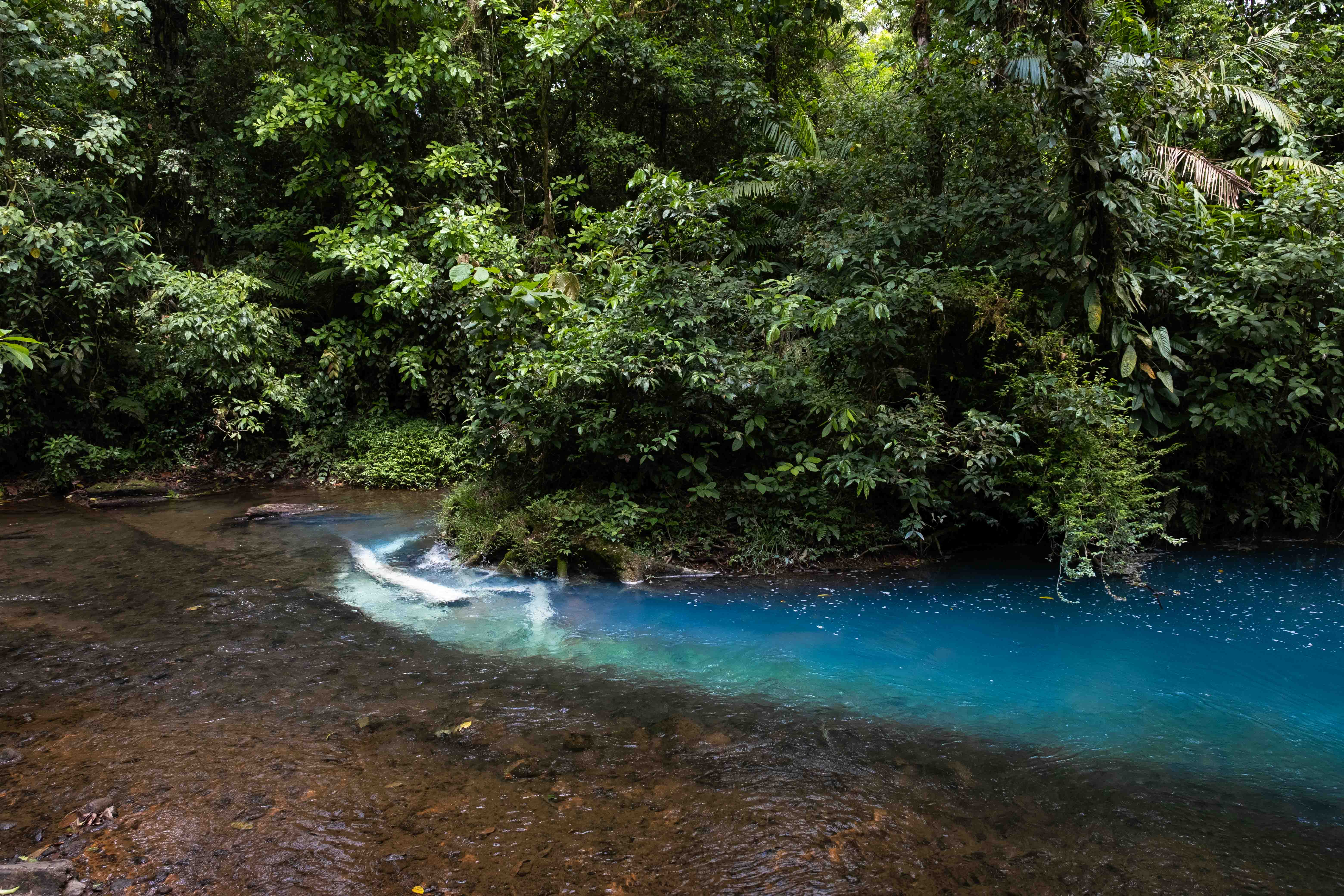 Costa Rica image 5