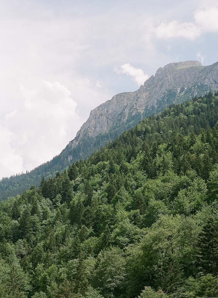 Germany image 2