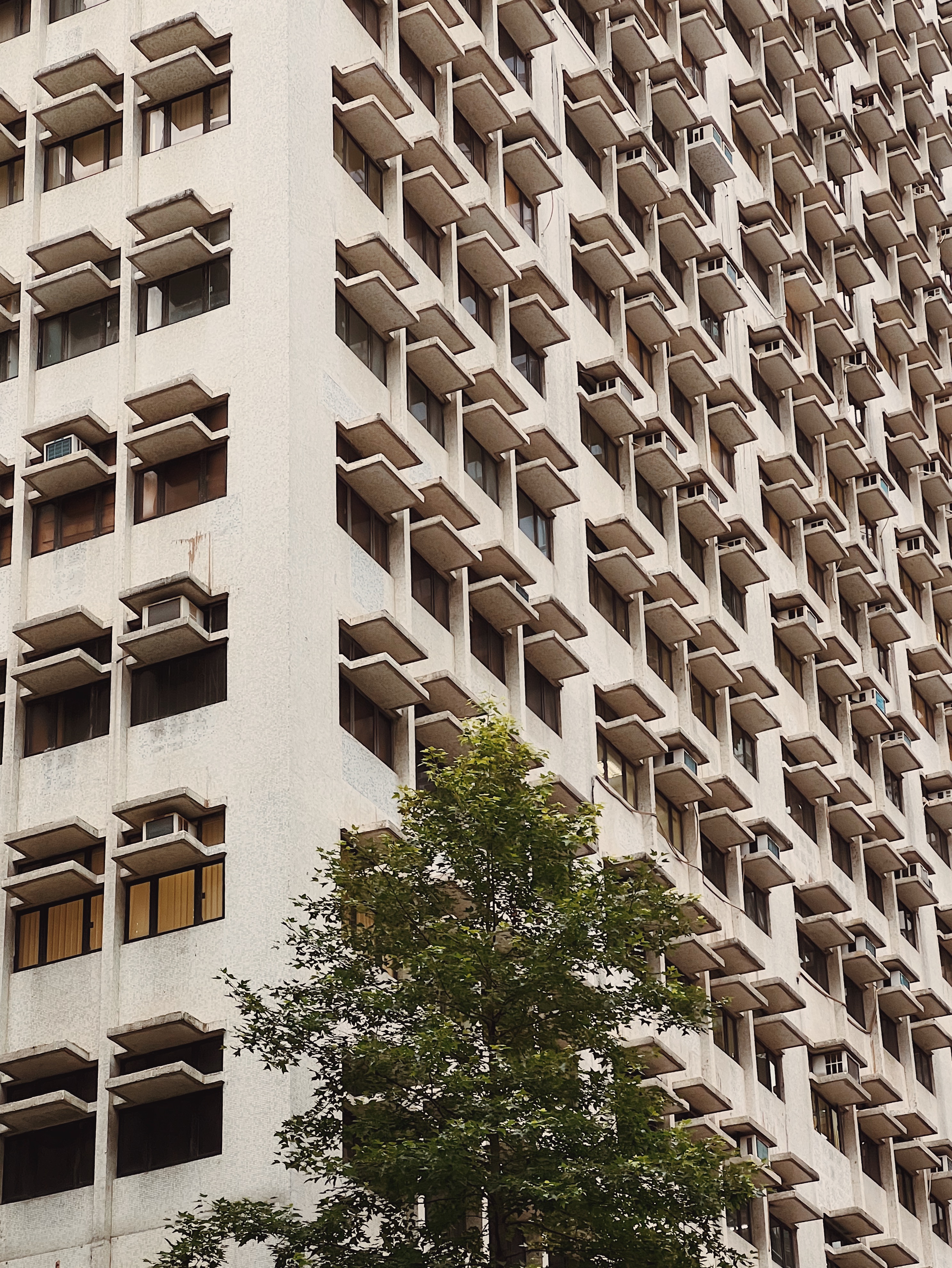 Hong Kong image 3