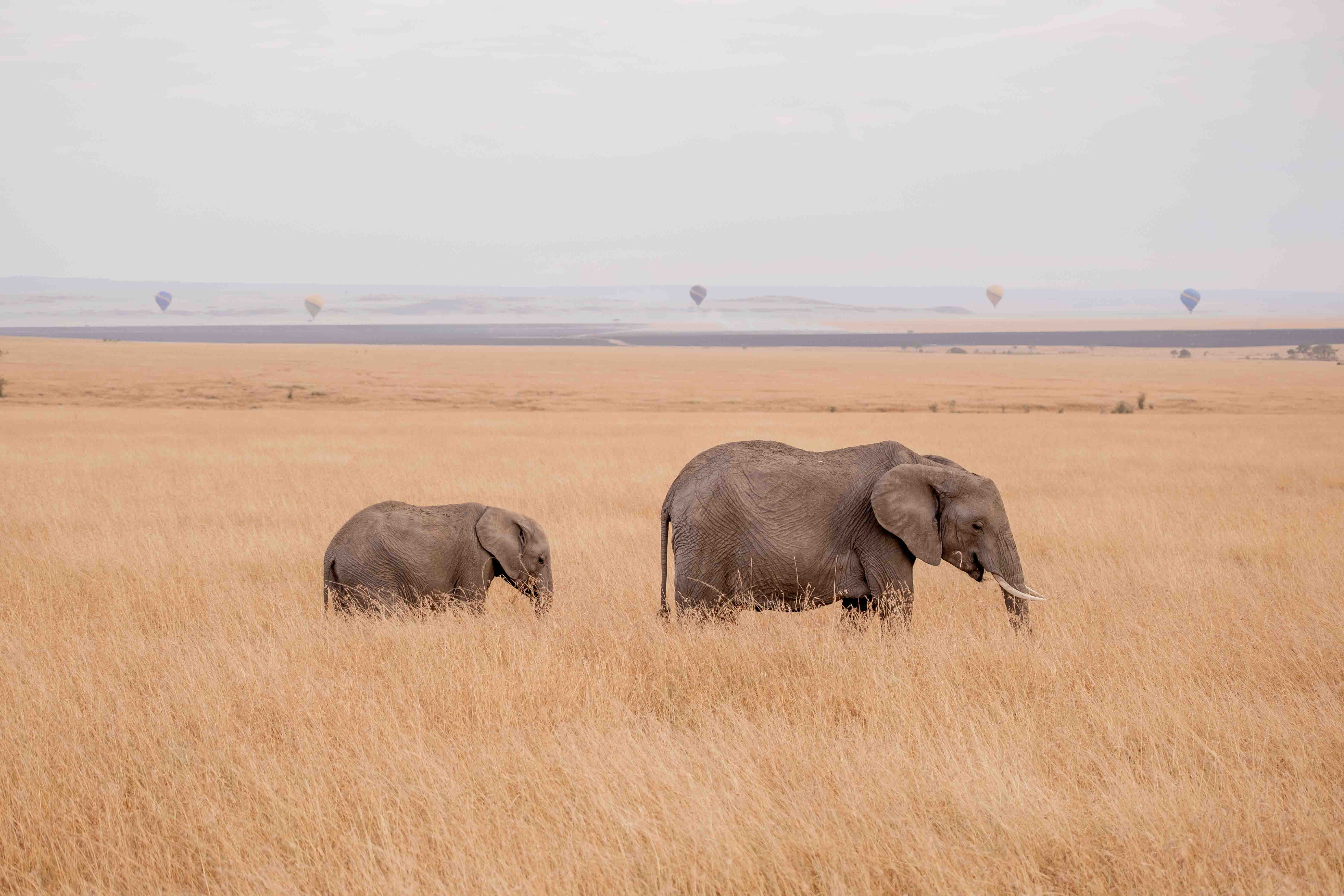 Kenya