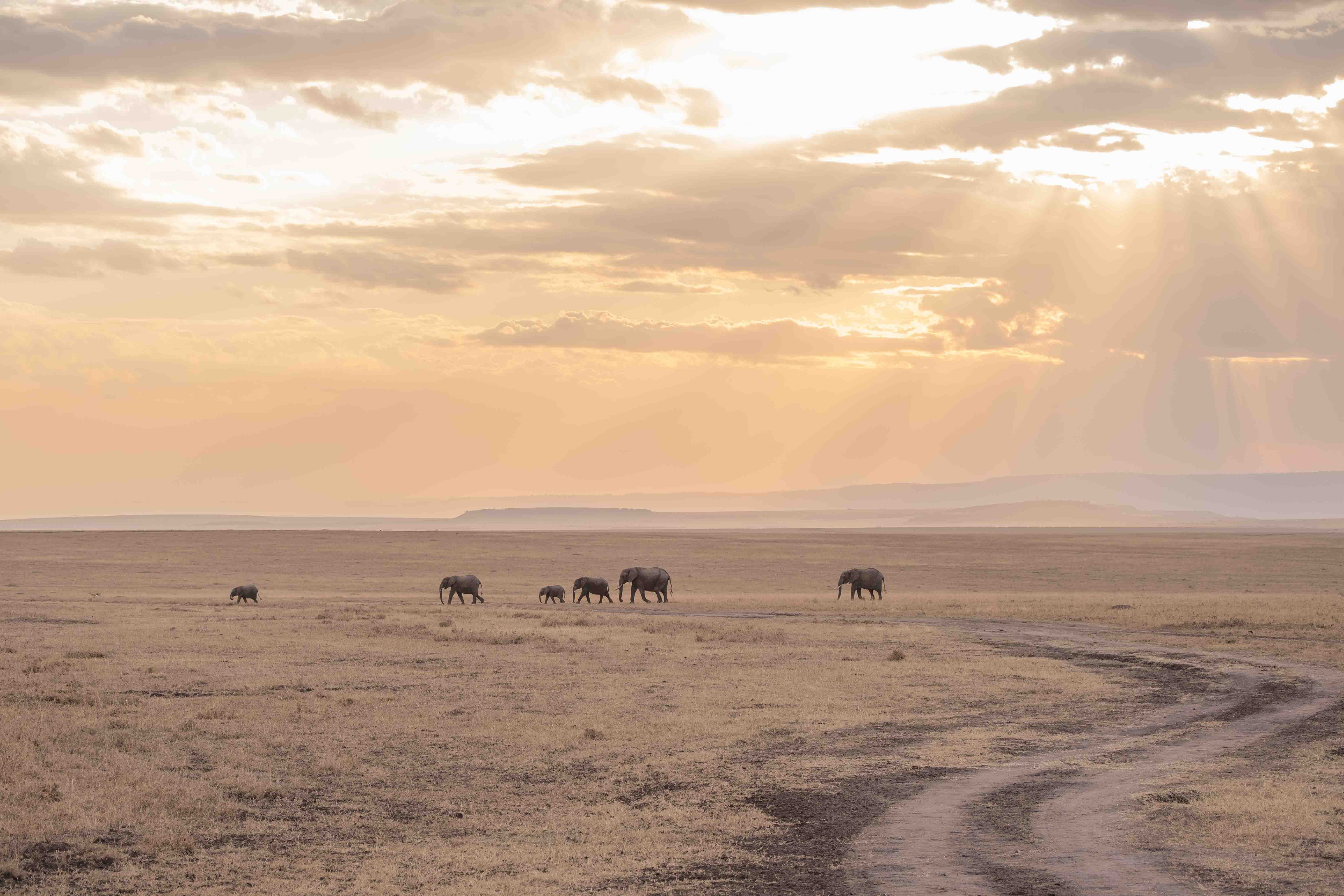 Kenya image 18