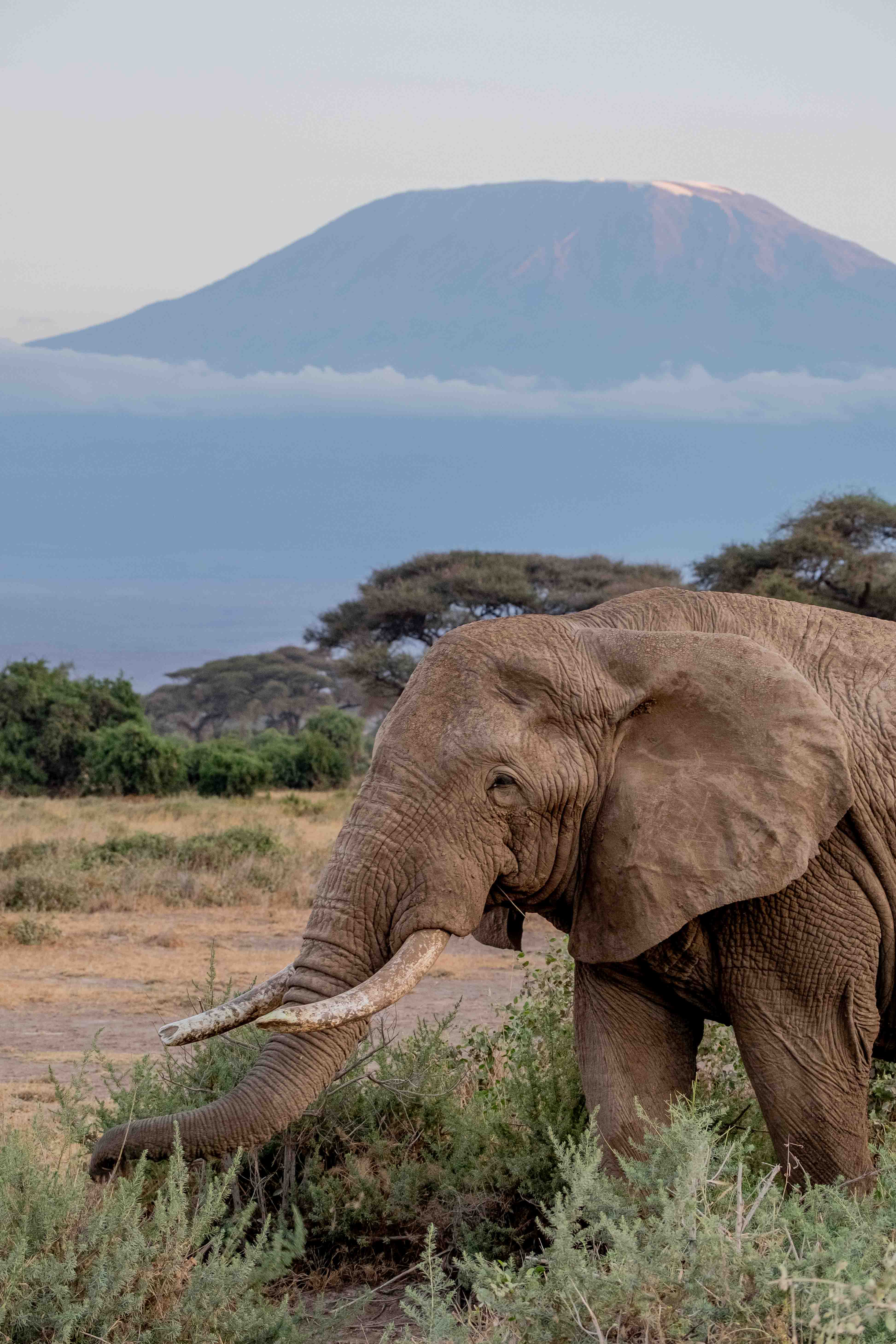 Kenya image 2