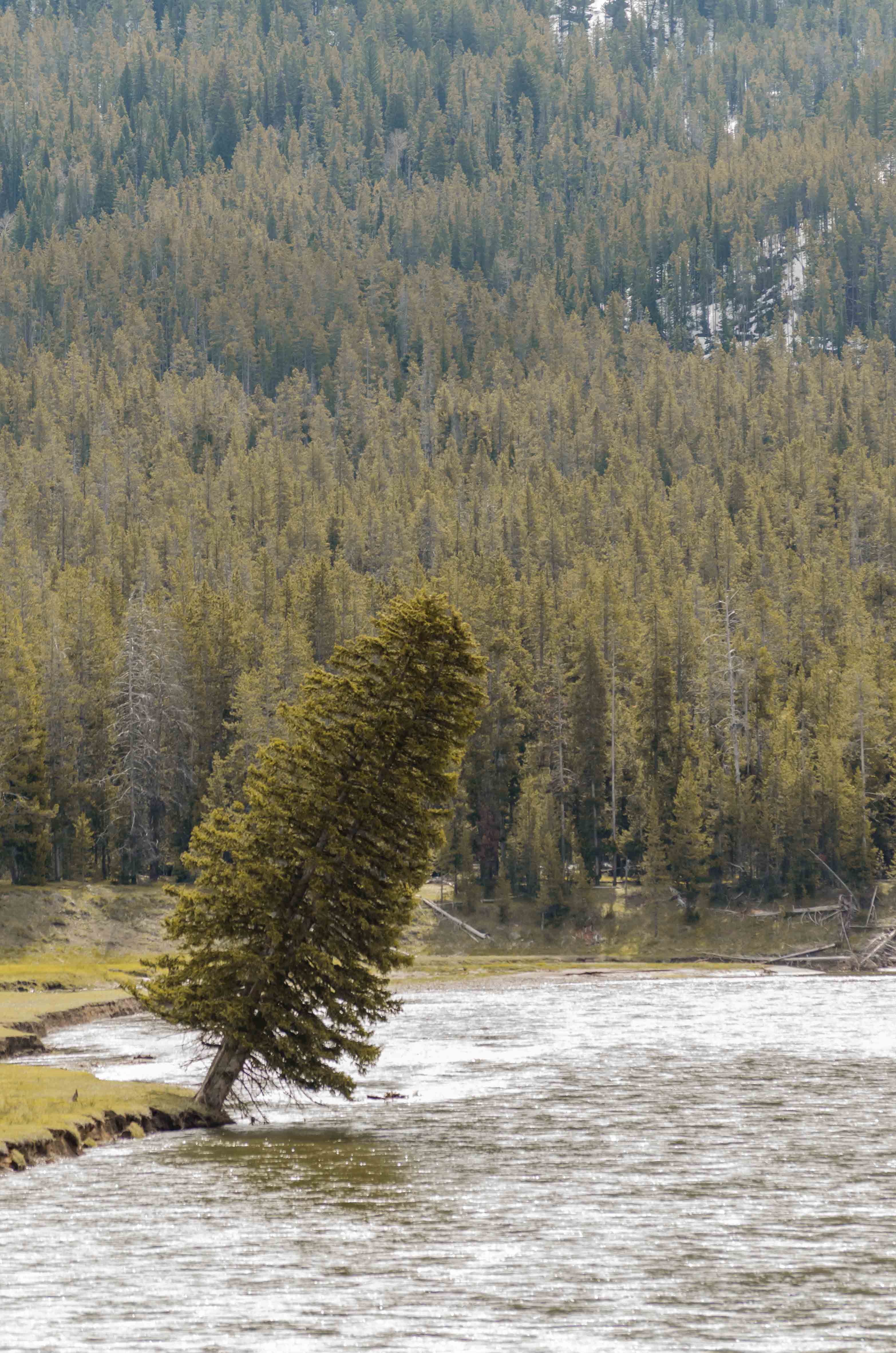 Places image 6