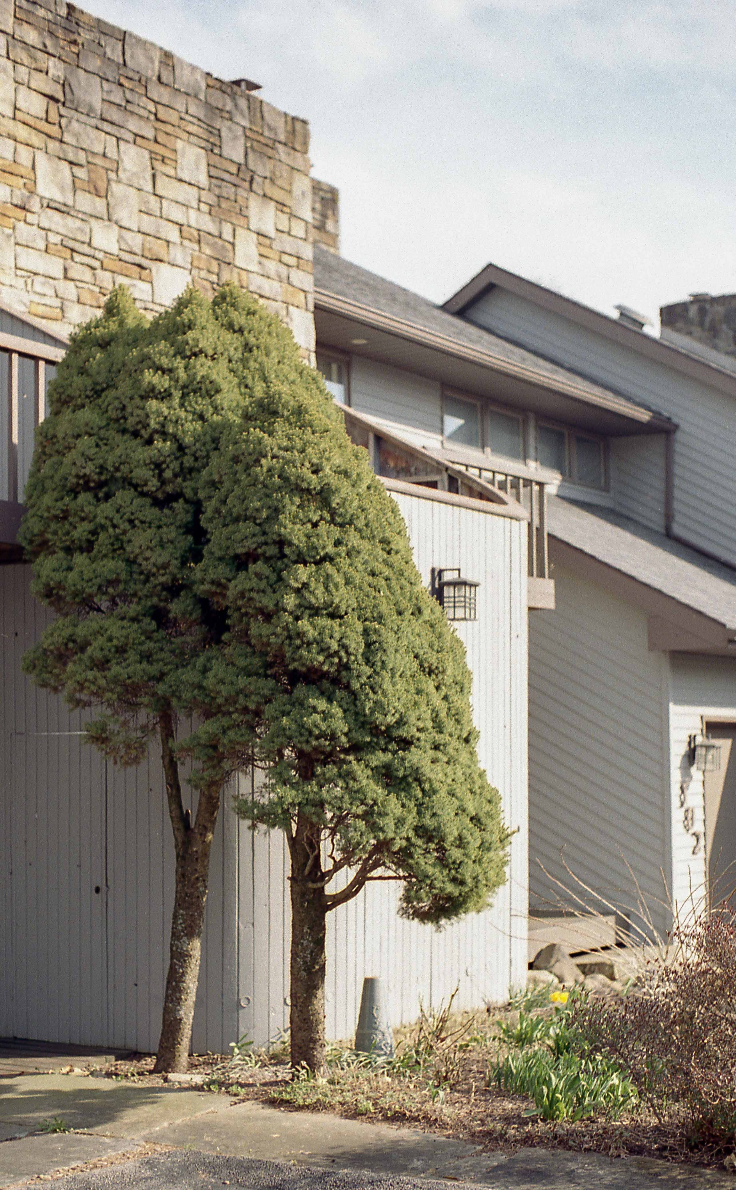 Places image 21