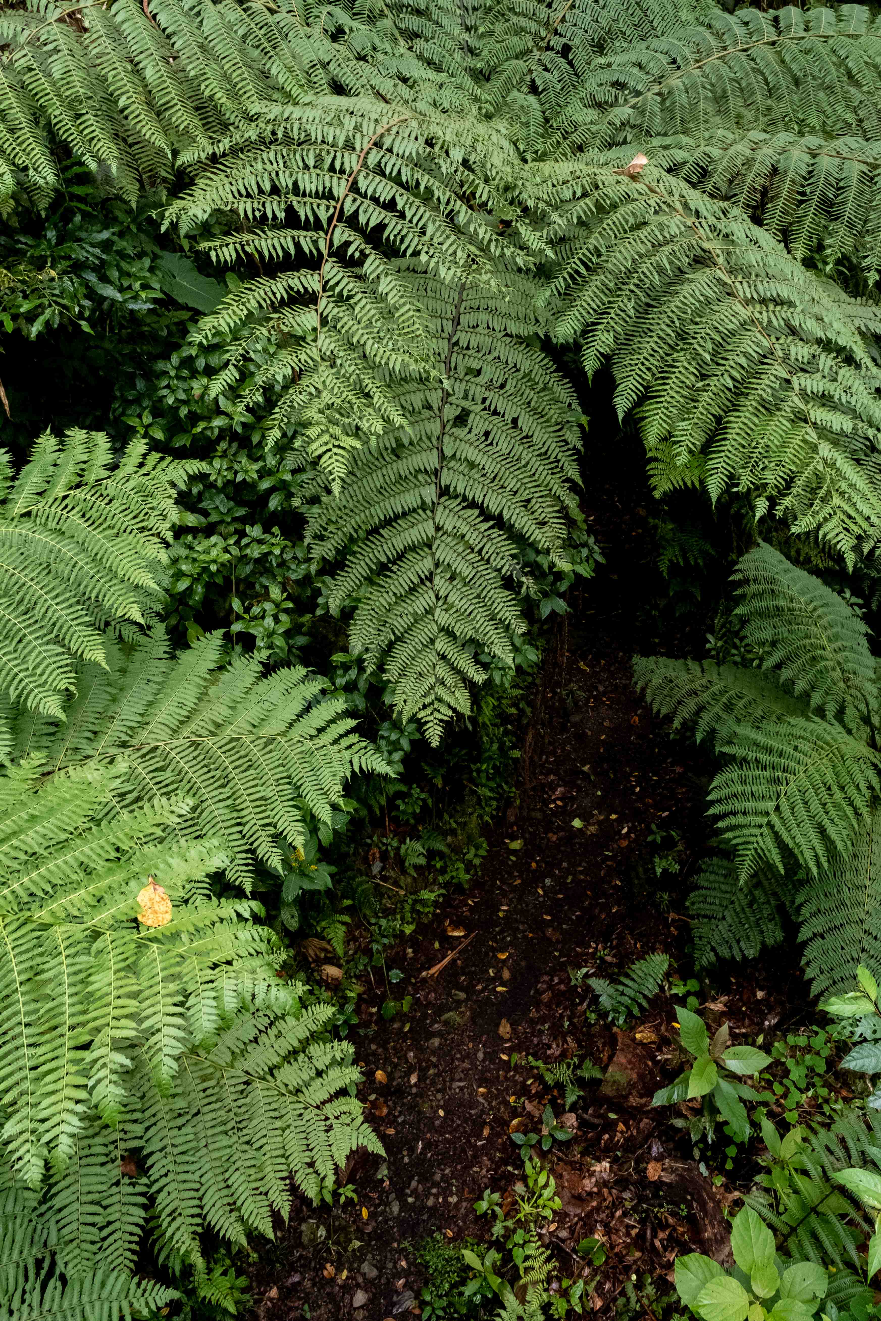 Places image 13