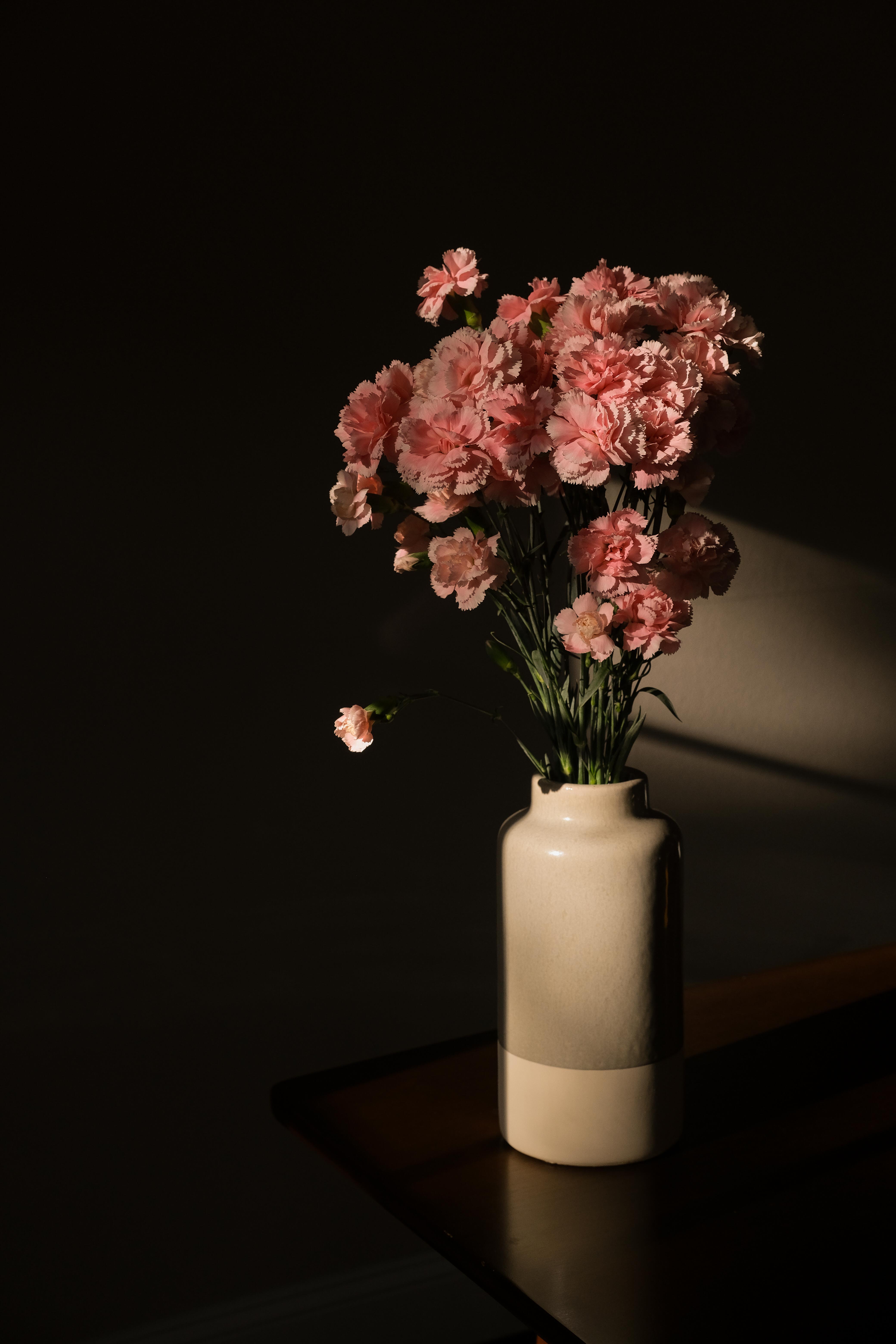 Portraits image 23